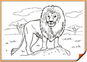 Лев — царь зверей: раскрашивай его с уважением!